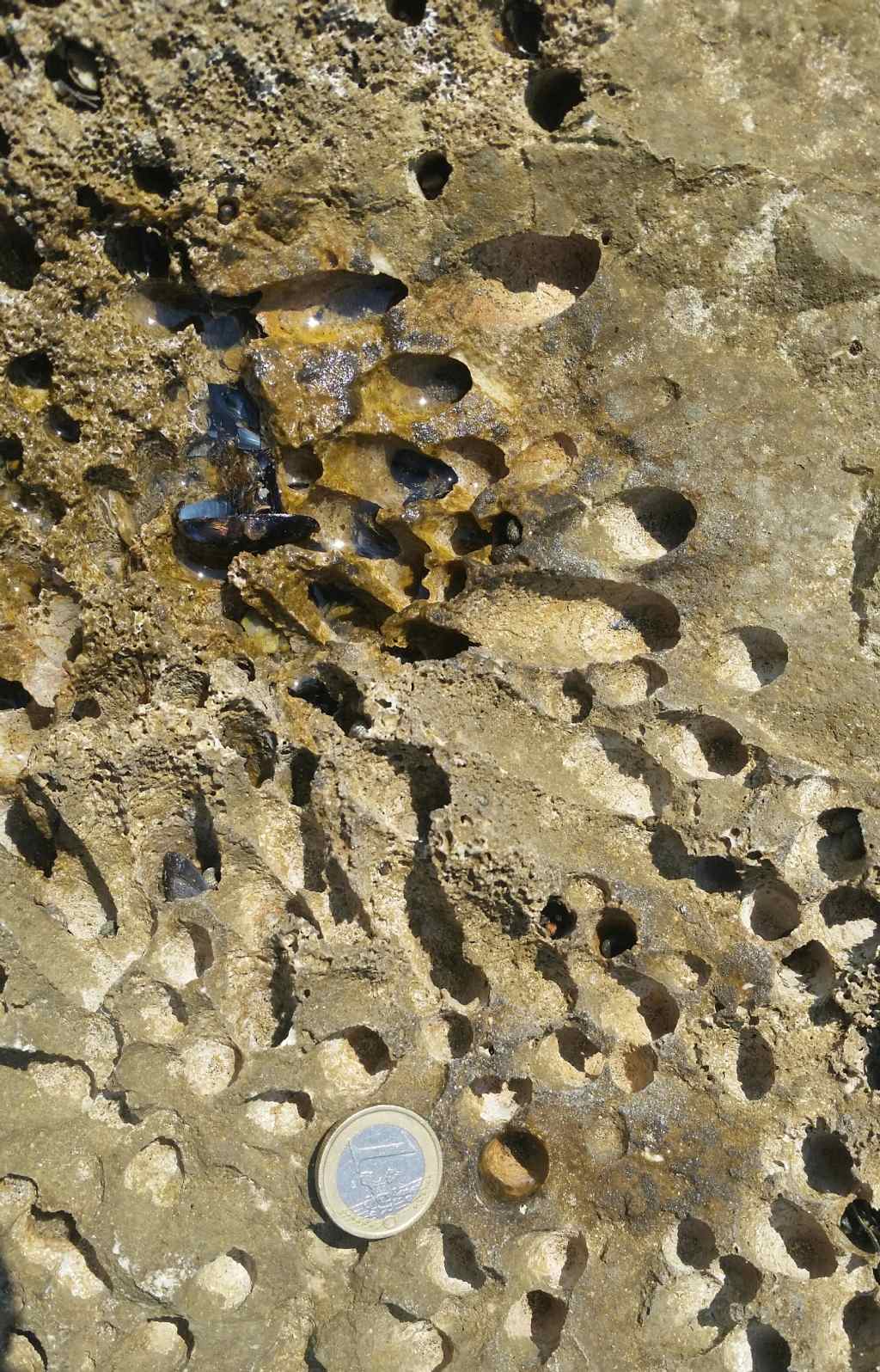 Chi ha fatto questi fori?